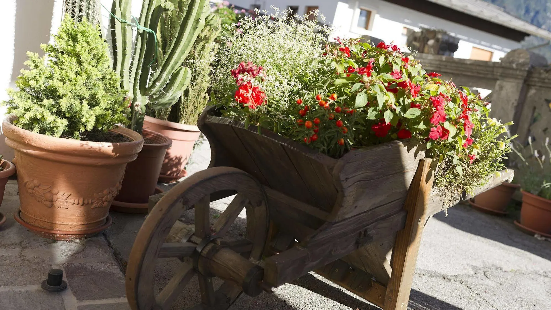 Hotel Giardino Pieve di Cadore